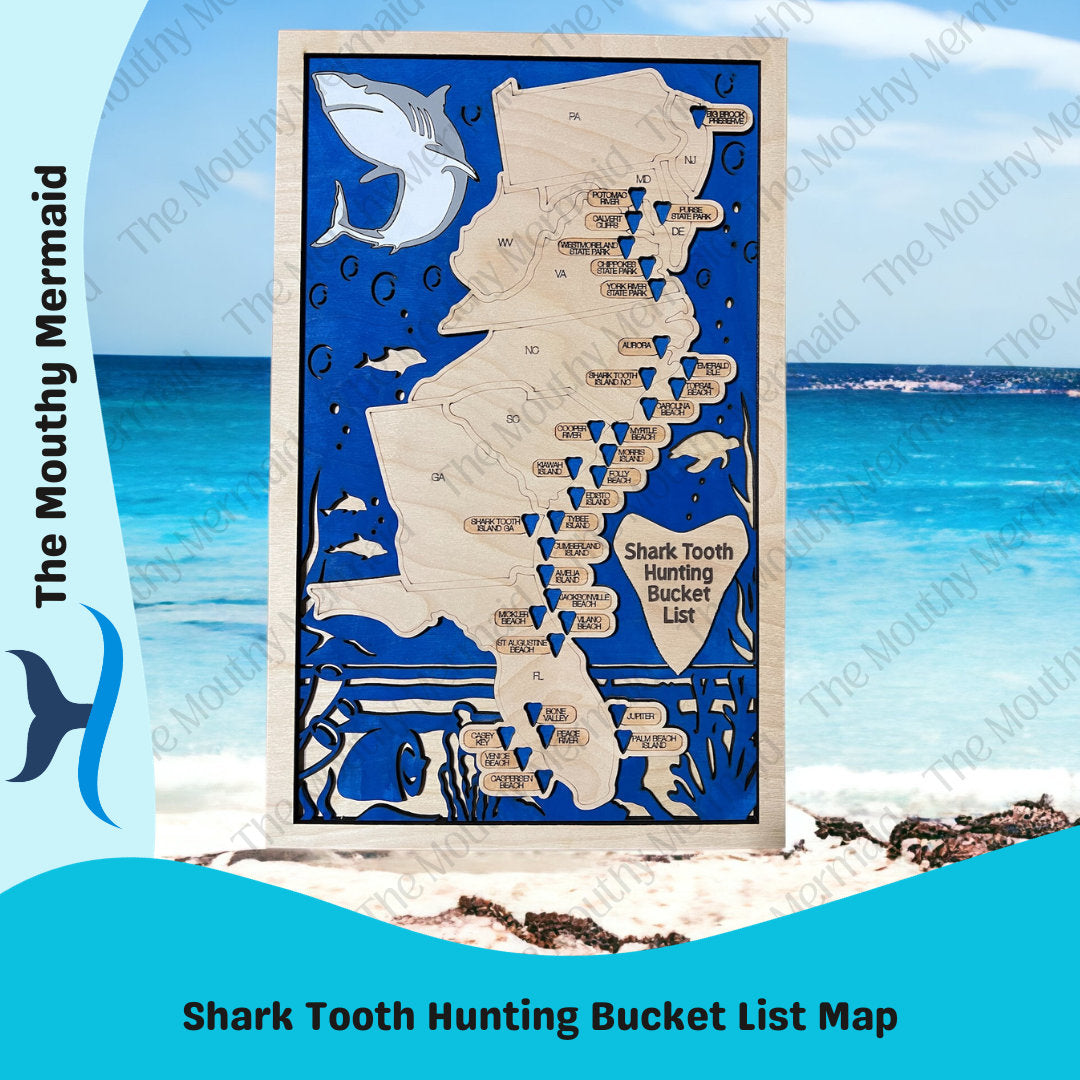 Shark Tooth Hunting Bucket List 3D Map.**Exclusive Original Map*